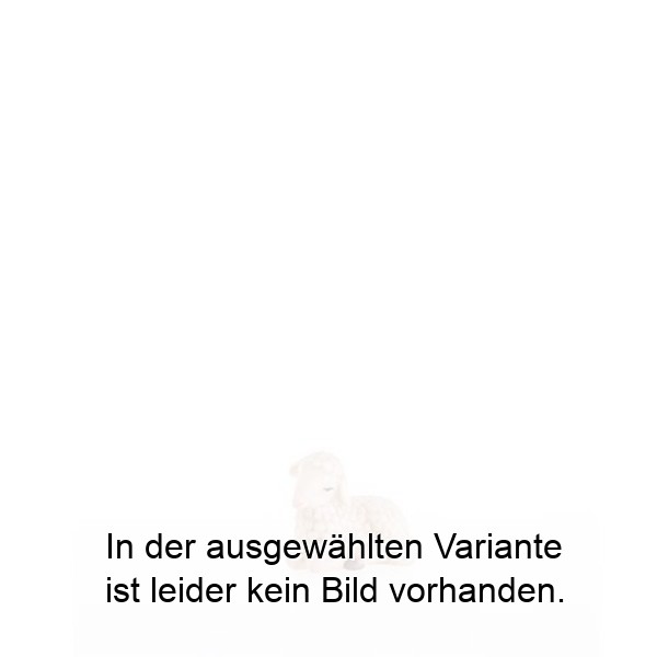 Schaf liegend Schaf liegend