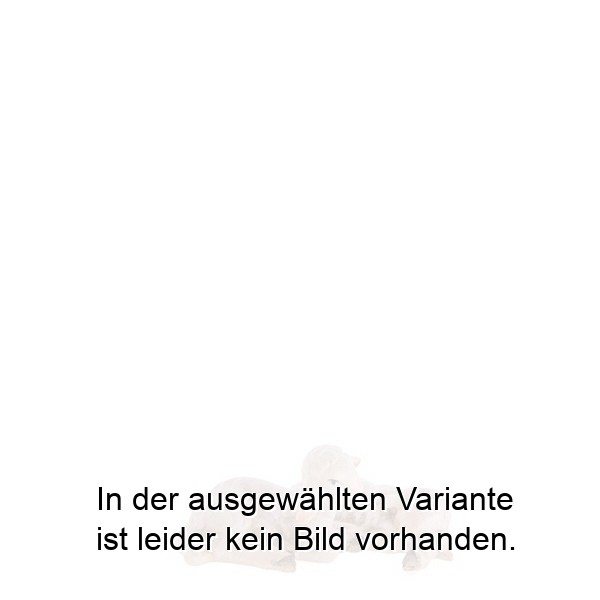 Liegendes Lämmerpaar Liegendes Lämmerpaar