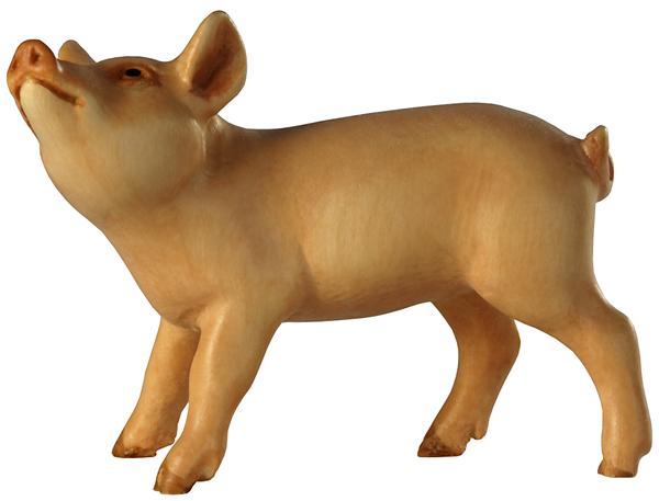 Ferkel Kopf oben