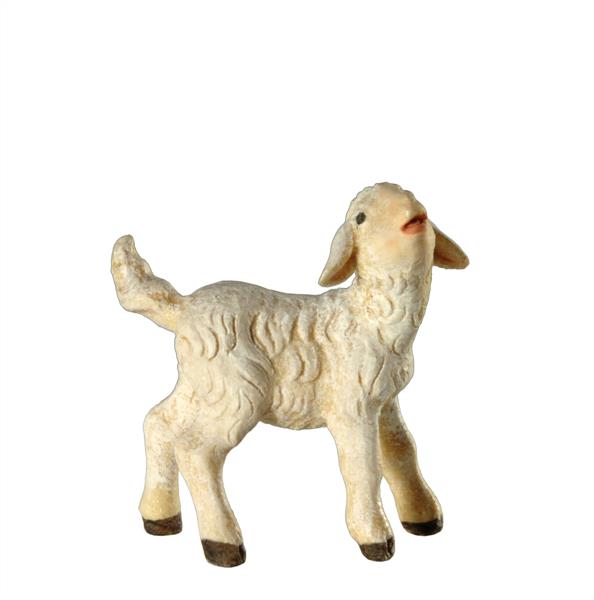 Lamm