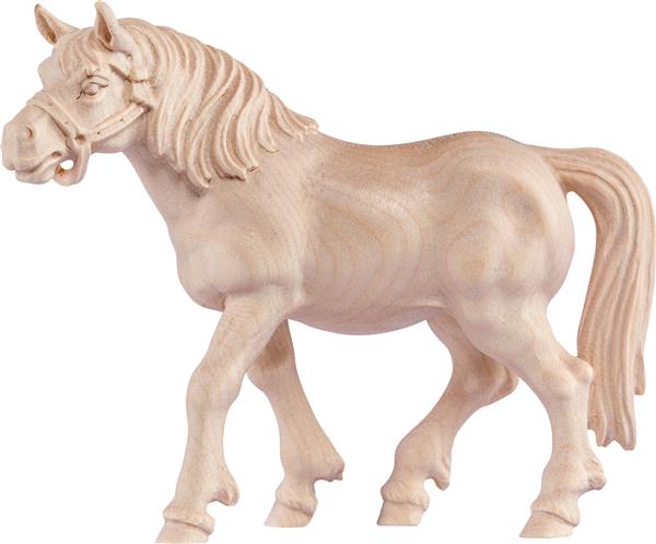 Pferd Rappe Pferd Rappe