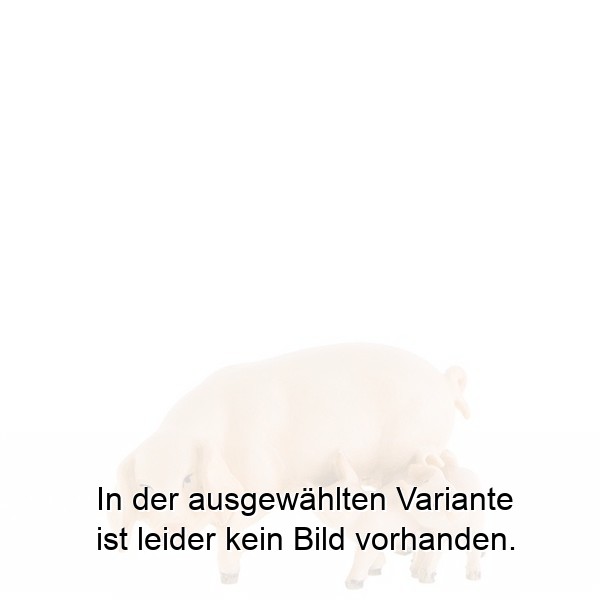 Sau mit Ferkeln Sau mit Ferkeln