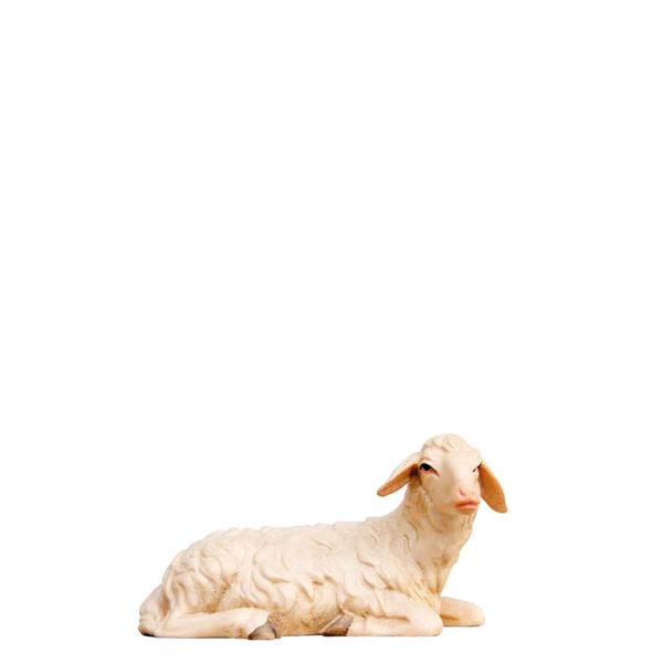 Schaf liegend Schaf liegend