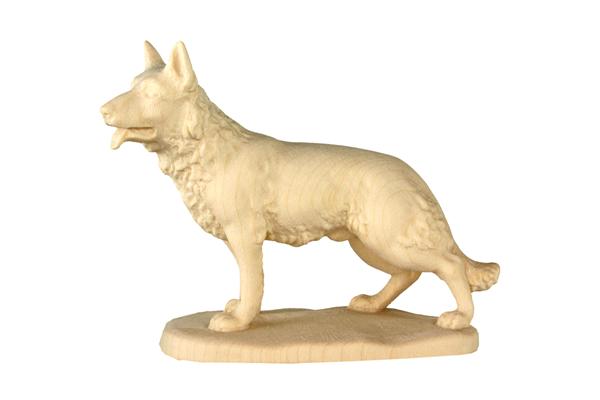 Hund stehend Hund stehend