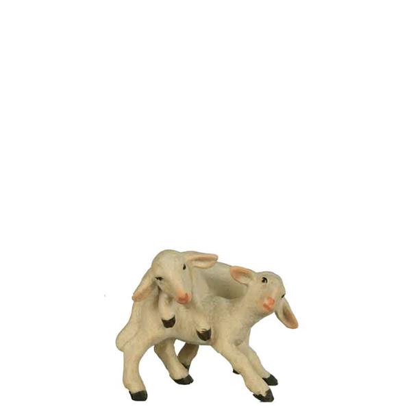 Lammgruppe Lammgruppe