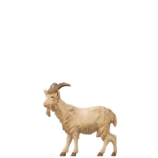 Ziege Ziege