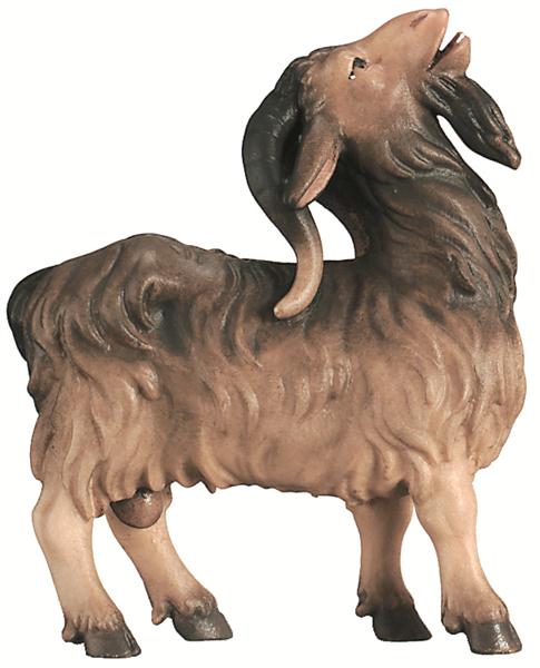 Ziegenbock Ziegenbock