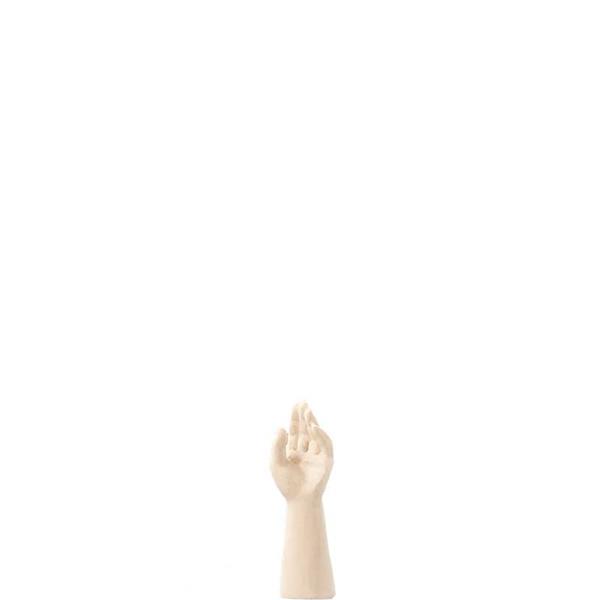 Hirt - linke offene Hand Hirt - linke offene Hand