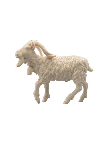 Ziegenbock Ziegenbock