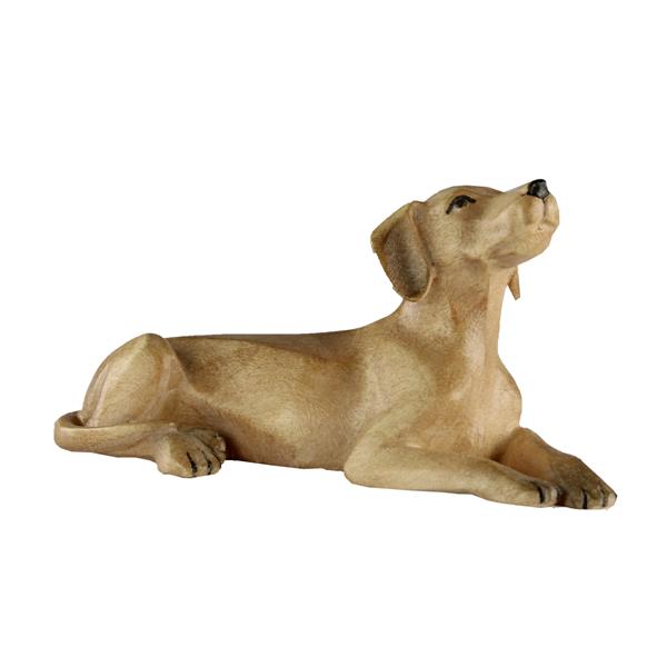 Hirtenhund