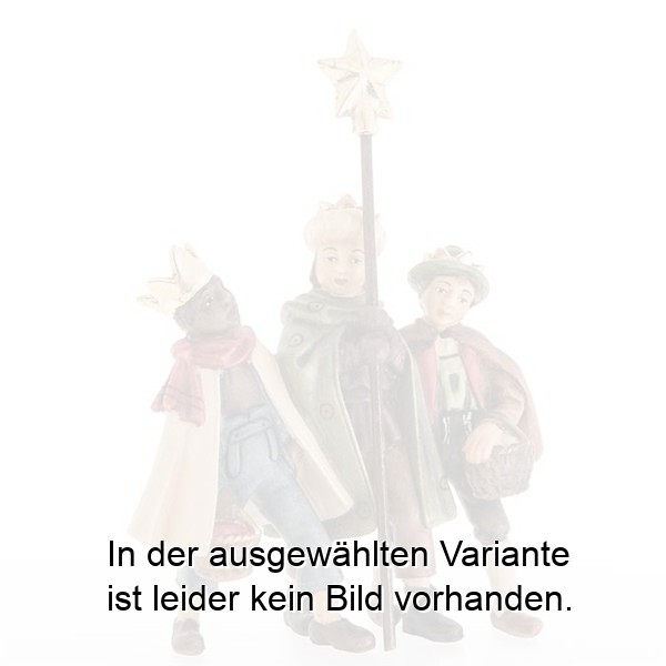 Sternsinger Sternsinger
