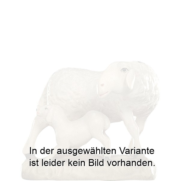 Schaf mit Lamm