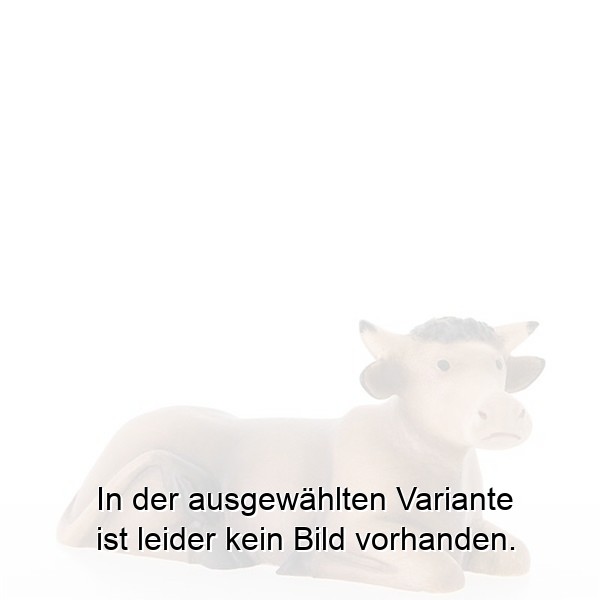 Ochs liegend Ochs liegend