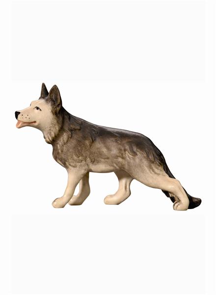 Schäferhund Schäferhund