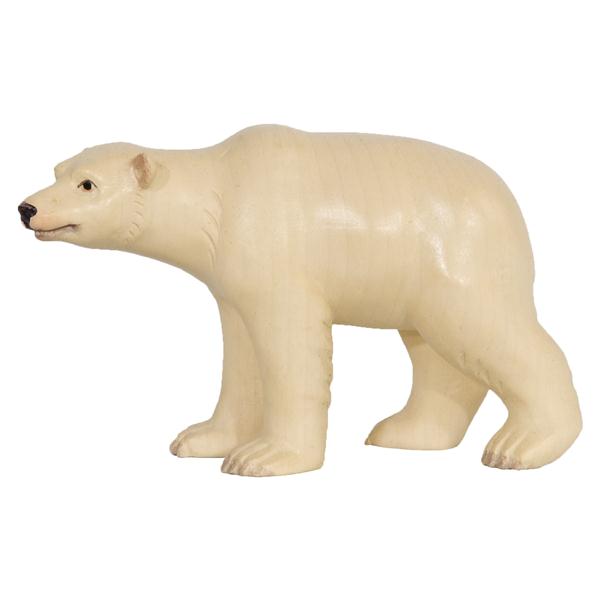 Eisbär Männchen Eisbär Männchen