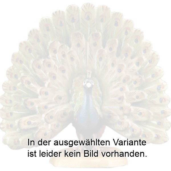 Pfau radschlagend