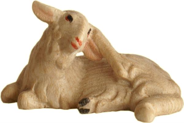 Schaf kratzend Schaf kratzend