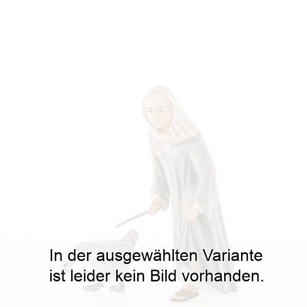 Gänsehirtin Gänsehirtin