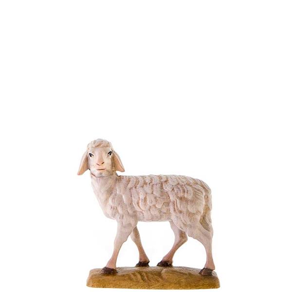 Schaf Schaf