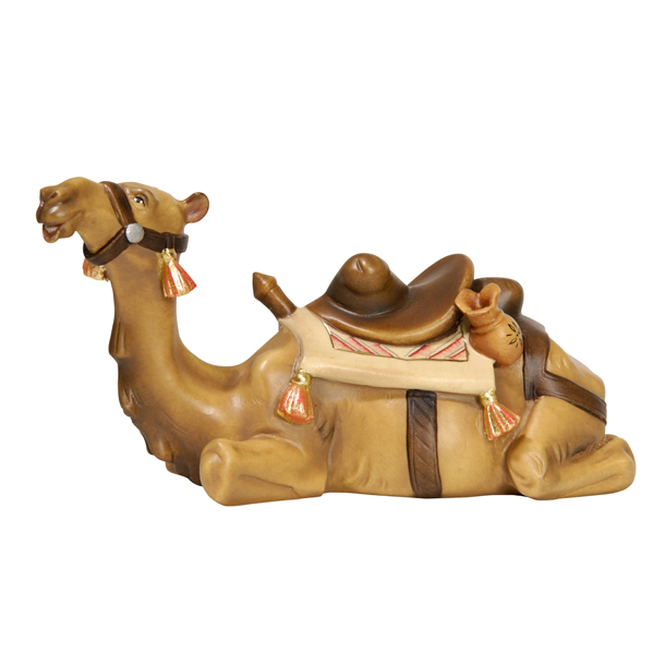 Kamel liegend Kamel liegend