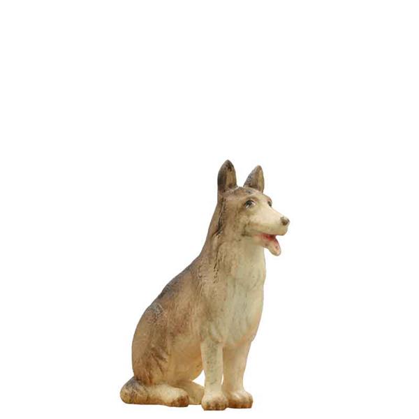 Schäferhund Schäferhund