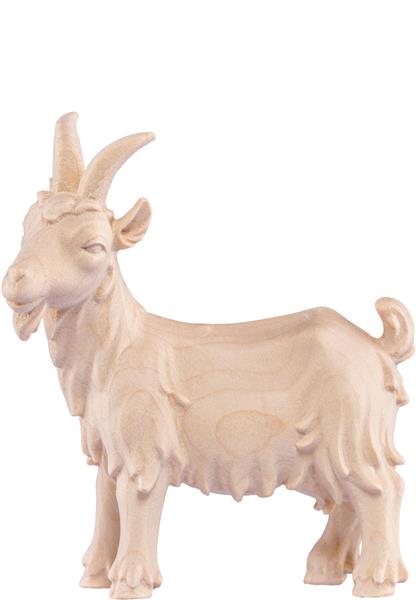 Ziege Artis Ziege Artis