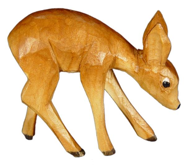 Bambi fressend in zirbel Bambi fressend in zirbel