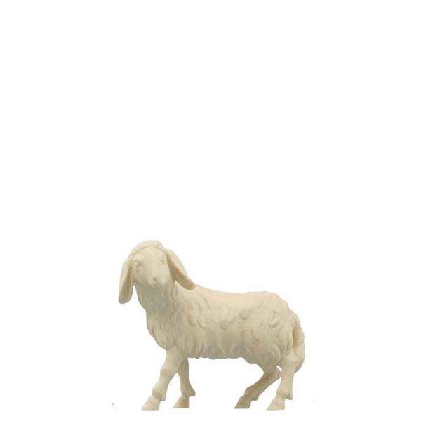 Schaf stehend