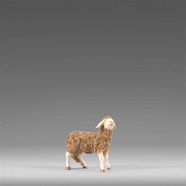 Schaf stehend mit Wolle braun