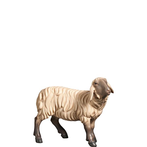 Schaf rechtsschauend SCHWARZ-WEIß Schaf rechtsschauend SCHWARZ-WEIß