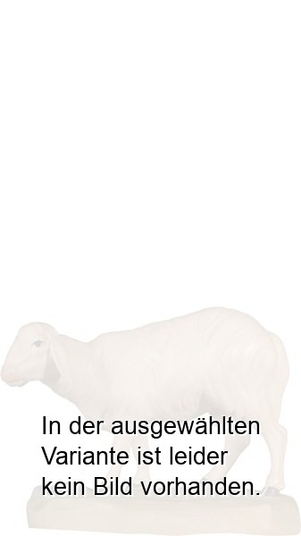Schaf stehend Schaf stehend