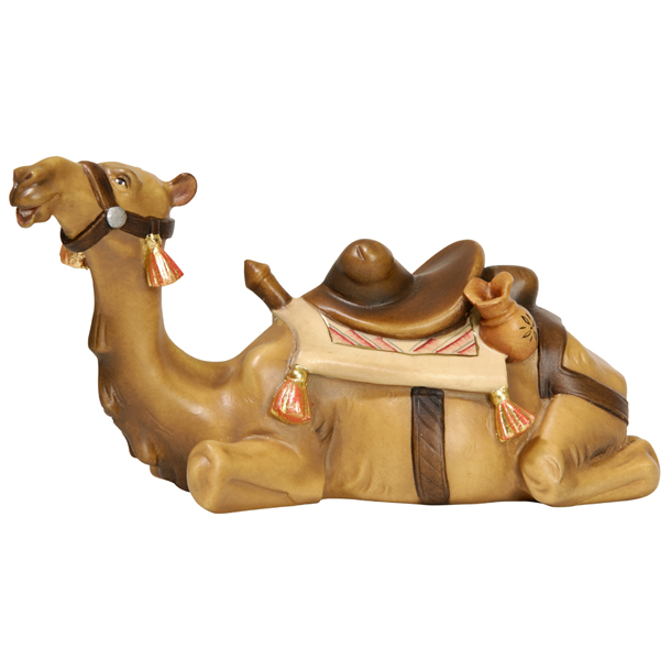 Kamel liegend Kamel liegend