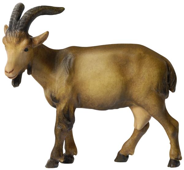 Ziege - Kopf nach links Ziege - Kopf nach links