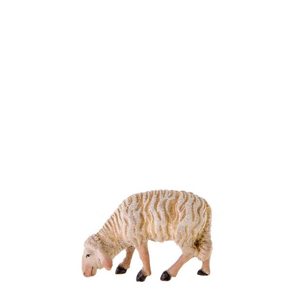 Schaf fressend Schaf fressend