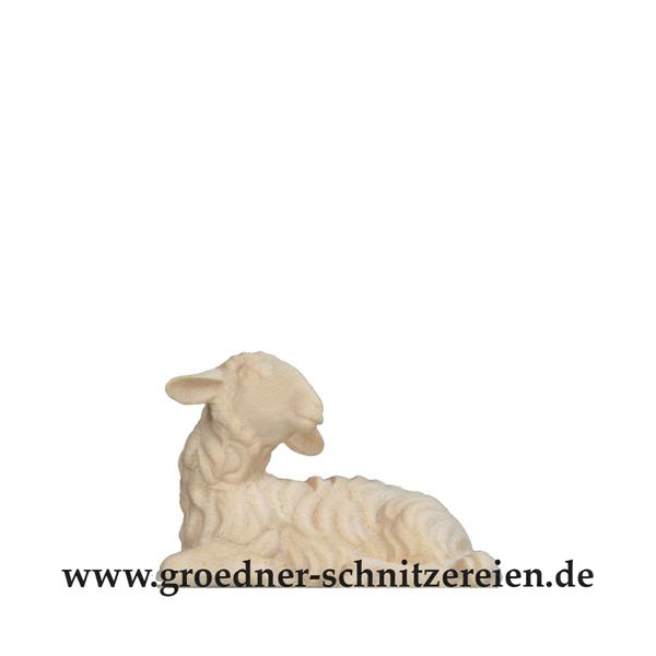 Schaf liegend Schaf liegend