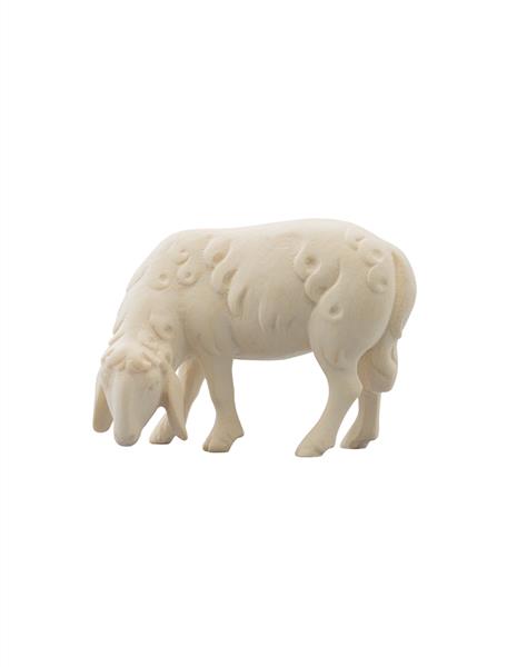 LI Schaf linksfressend LI Schaf linksfressend
