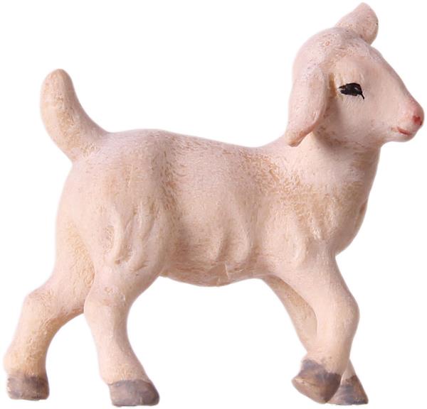 Lamm Lamm