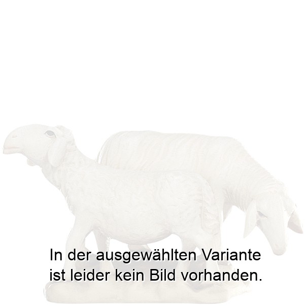Schafgruppe