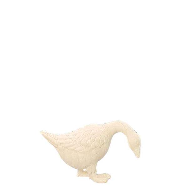 Gans nach unten schauend Gans nach unten schauend