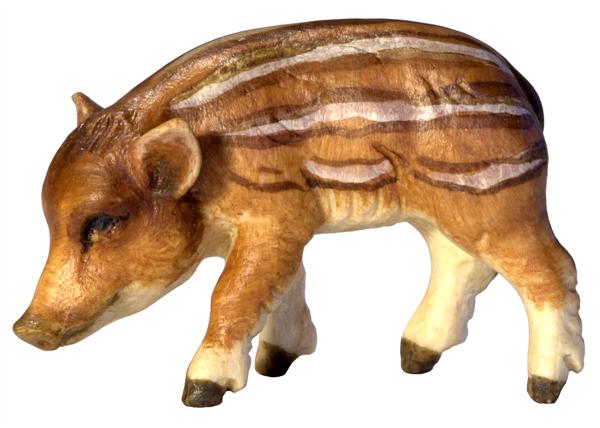 Wildschweinjunge Kopf links