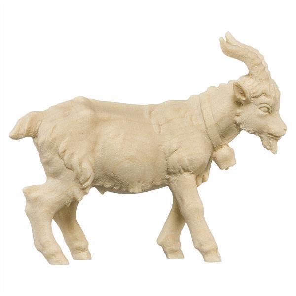 Ziegenbock Ziegenbock