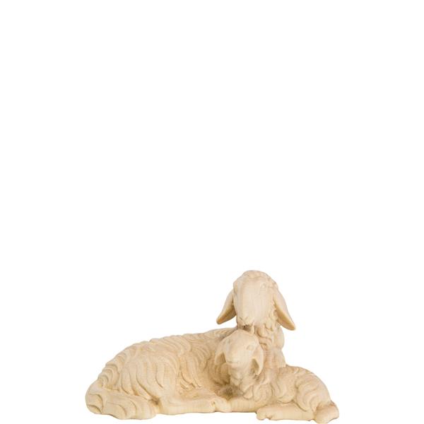 Schaf und Lamm liegend Schaf und Lamm liegend