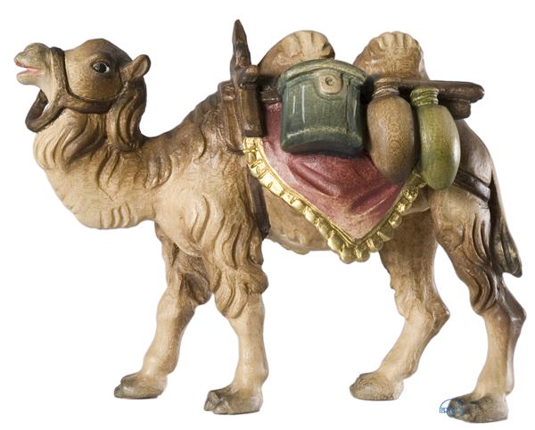 Kamel mit Gepäck Kamel mit Gepäck