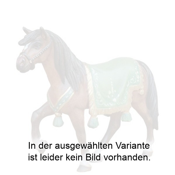 Pferd Pferd
