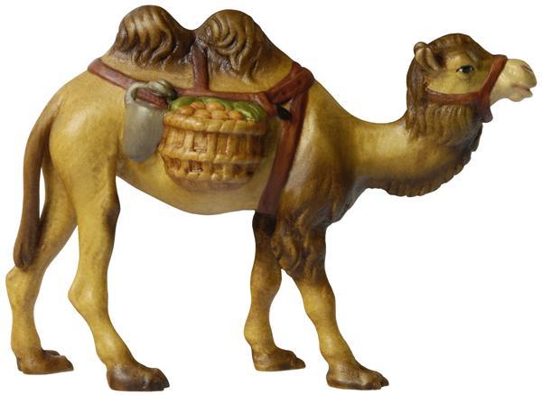 Kamel