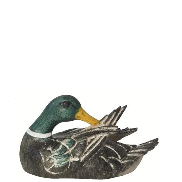 Ente - Flügel putzend Ente - Flügel putzend