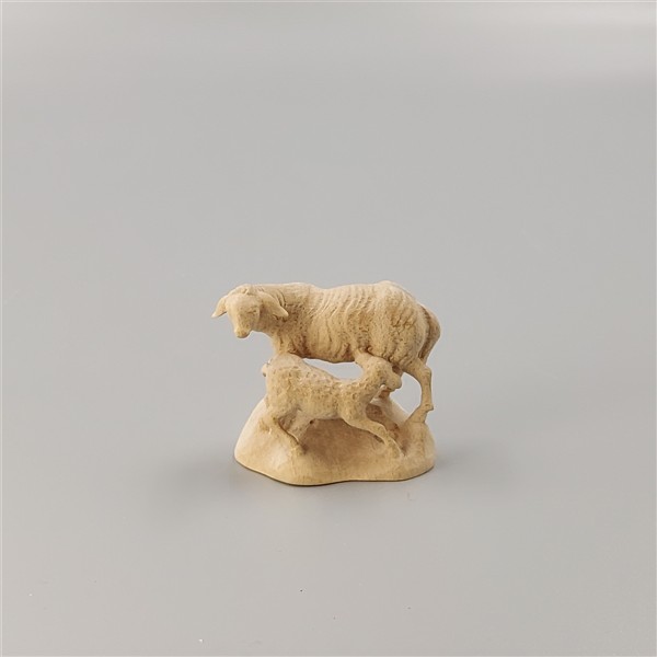 Schaf-Lamm trinkend Schaf-Lamm trinkend