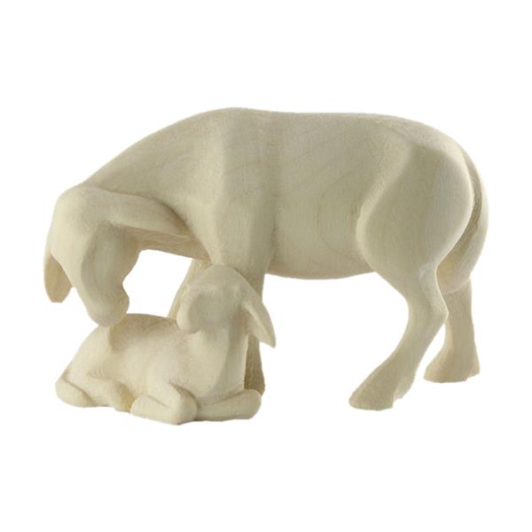 Schaf stehend mit Lamm Schaf stehend mit Lamm