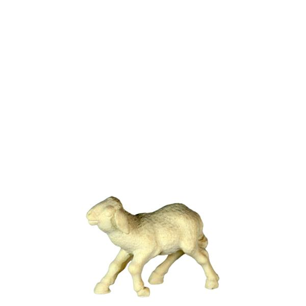 Lamm Lamm