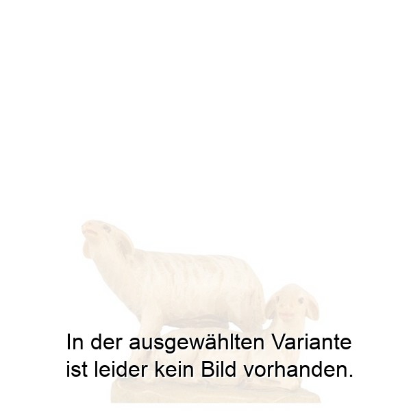 Schafgruppe